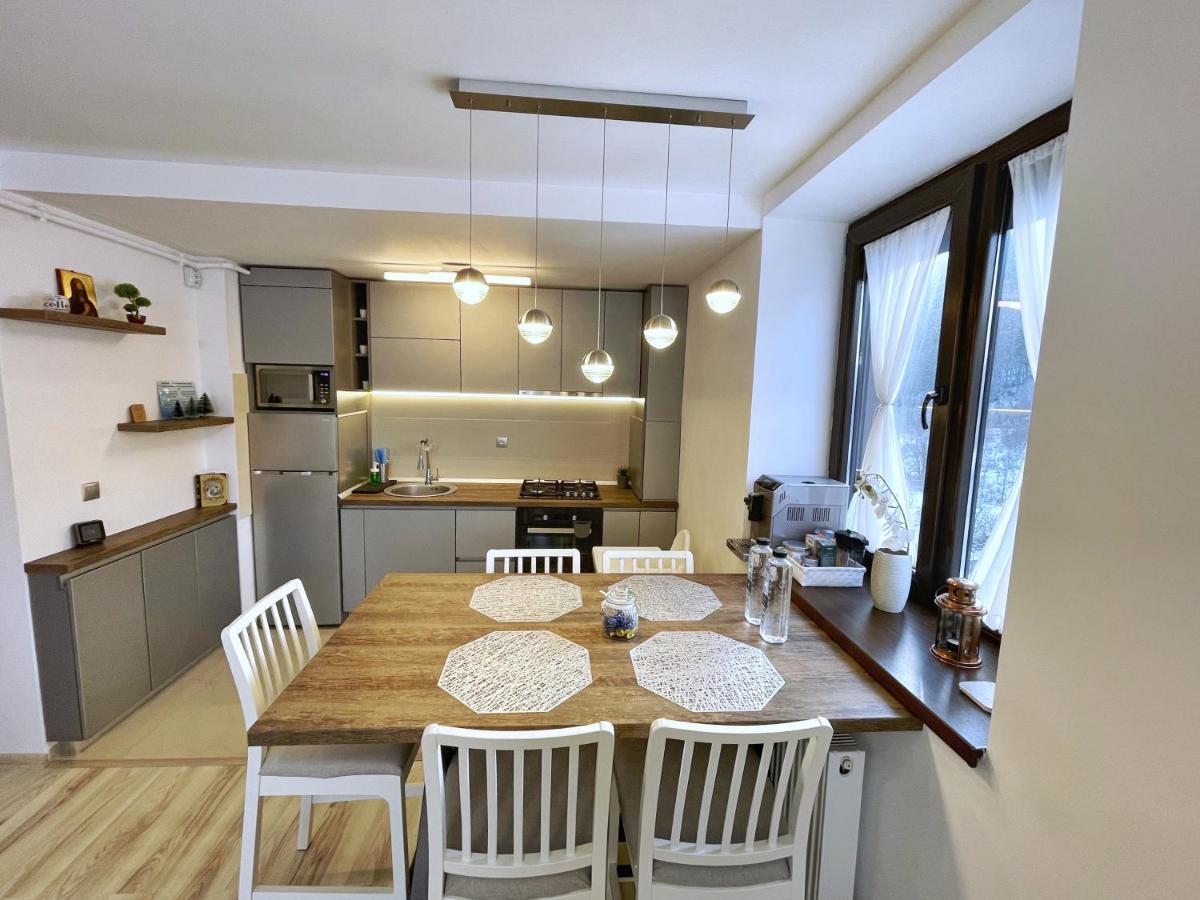 Perfect View Apartment Sinaia Dış mekan fotoğraf